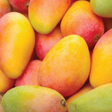 Mango - Badami